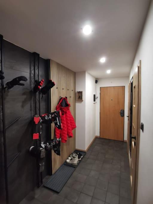 Apartman Bila Voda Červená Voda エクステリア 写真
