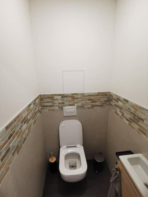 Apartman Bila Voda Červená Voda エクステリア 写真